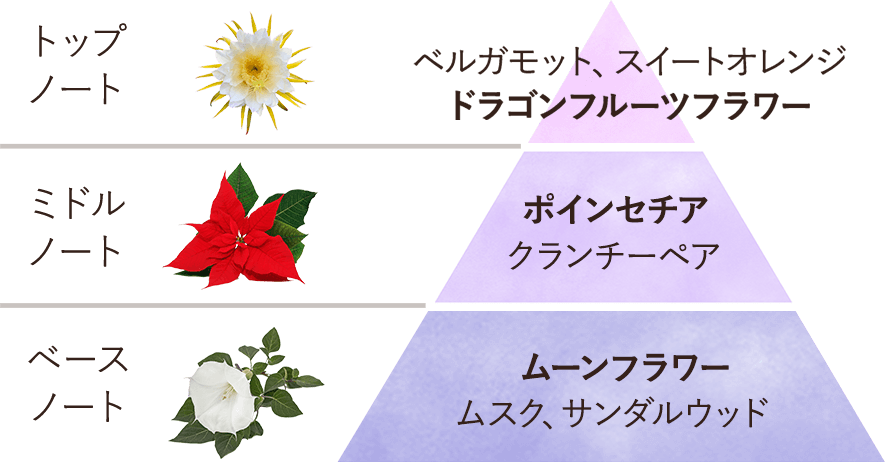 香りピラミッド