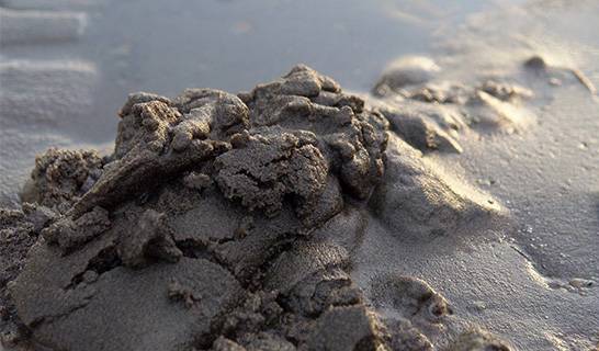 死海の泥