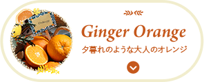 Ginger Orange 夕暮れのような大人のオレンジ