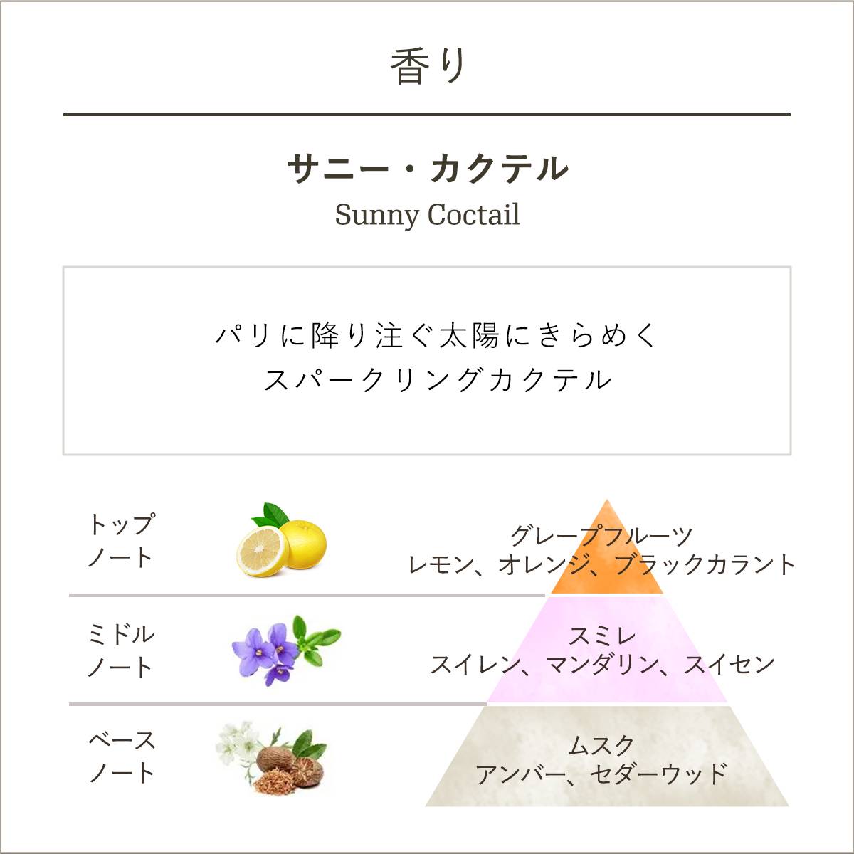 SABON サニーカクテル ボディーケアセット